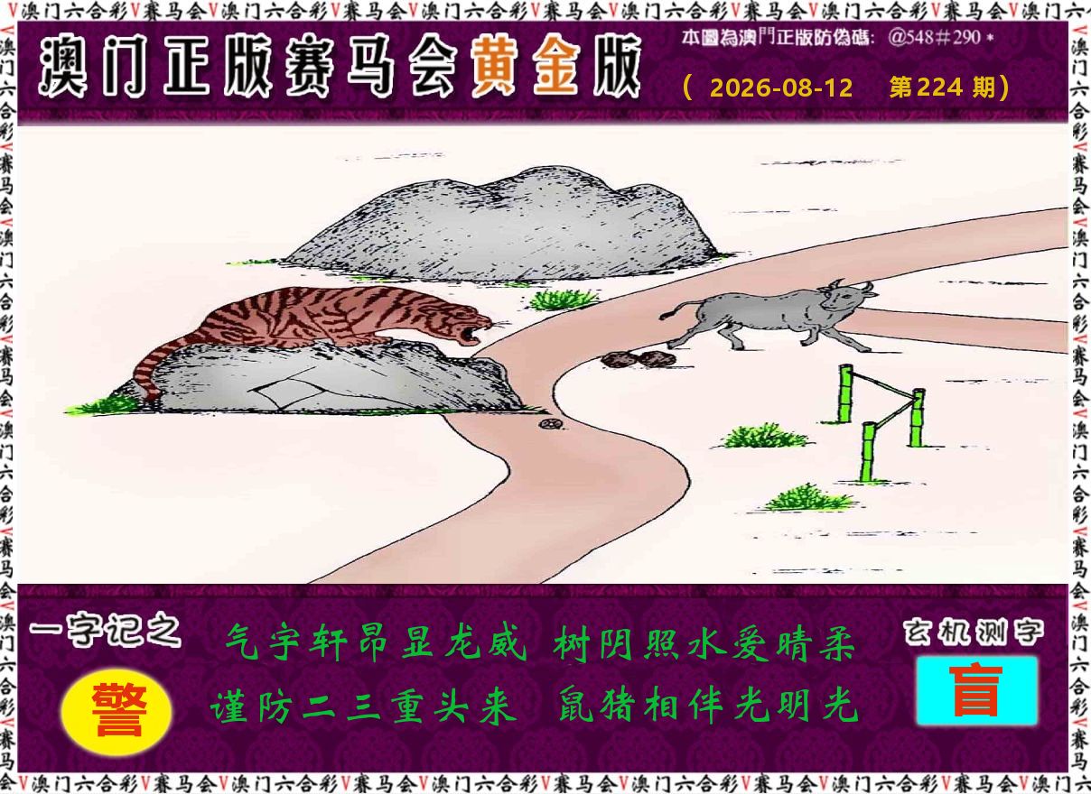 赛马会黄金版 第224期