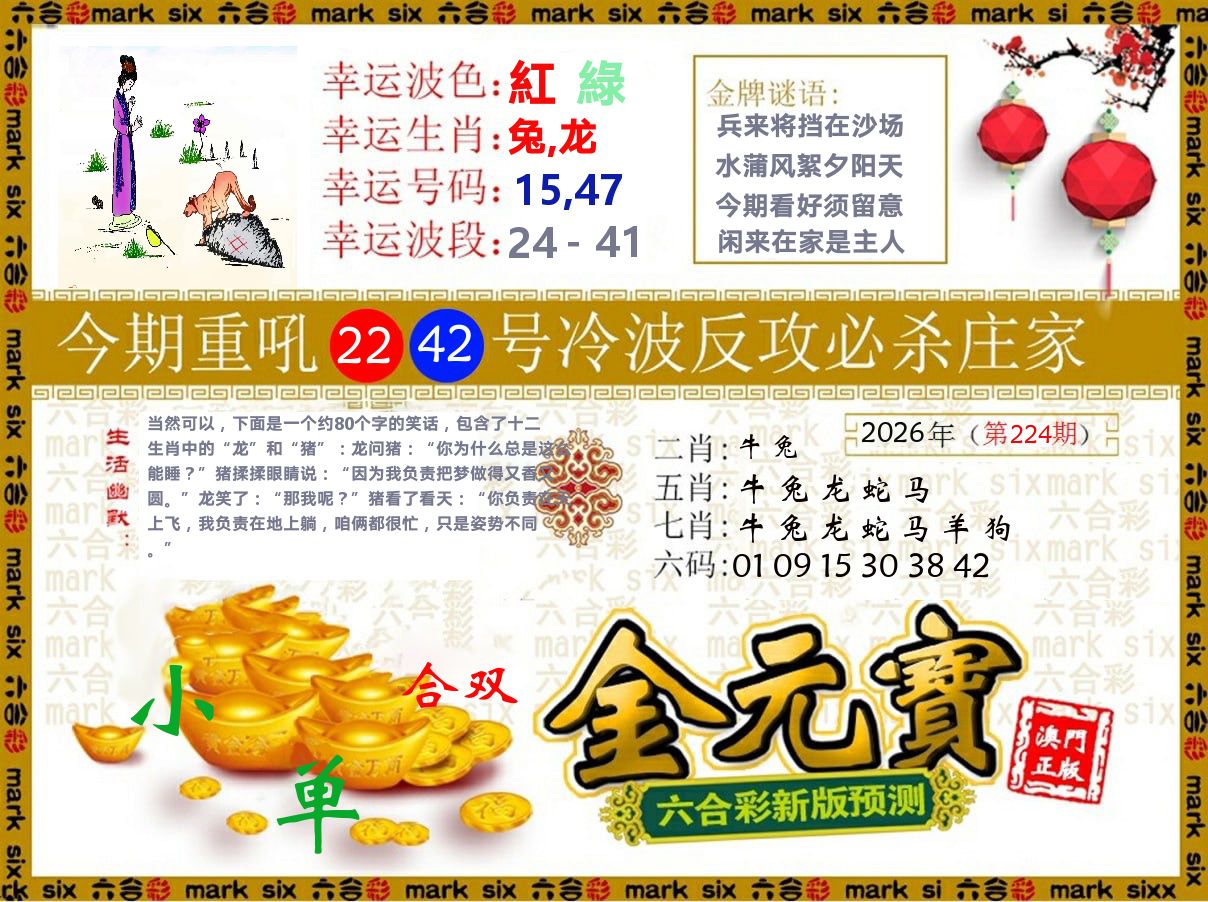 金元宝 第224期