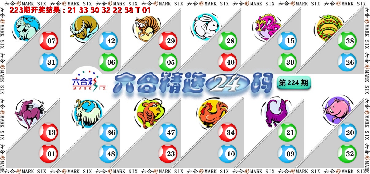 六合精选24码 第224期
