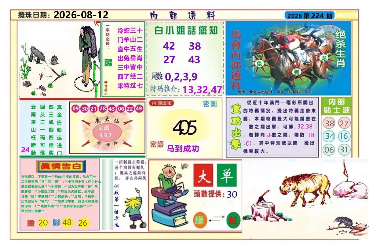 澳门内部透料A 第224期