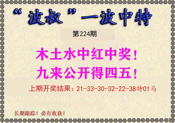 波叔中特 第224期