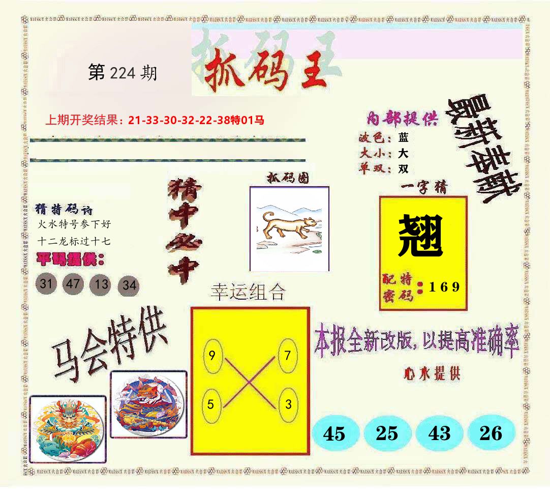 抓码王 第224期