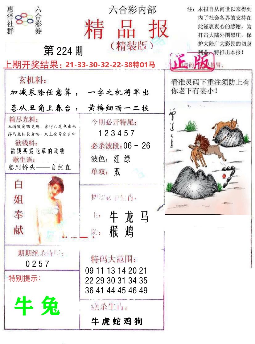 精品报 第224期