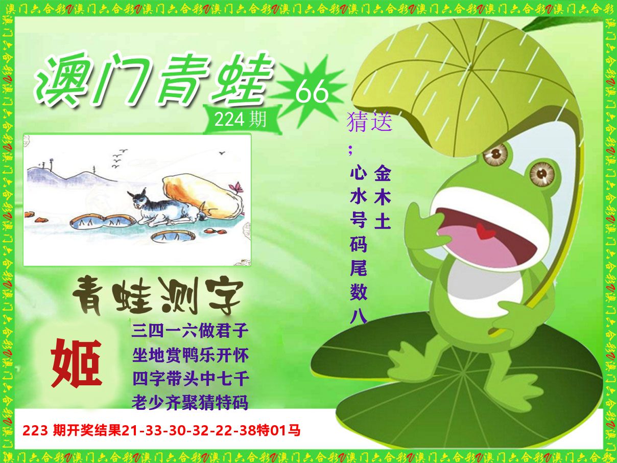 青蛙系列66 第224期