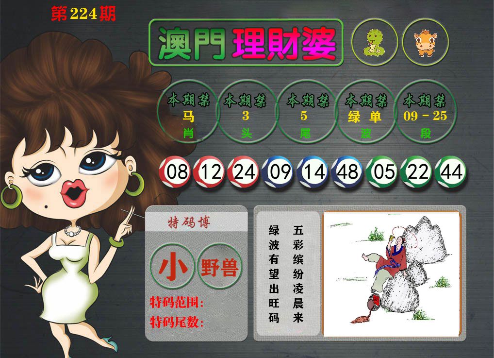 理财婆 第224期