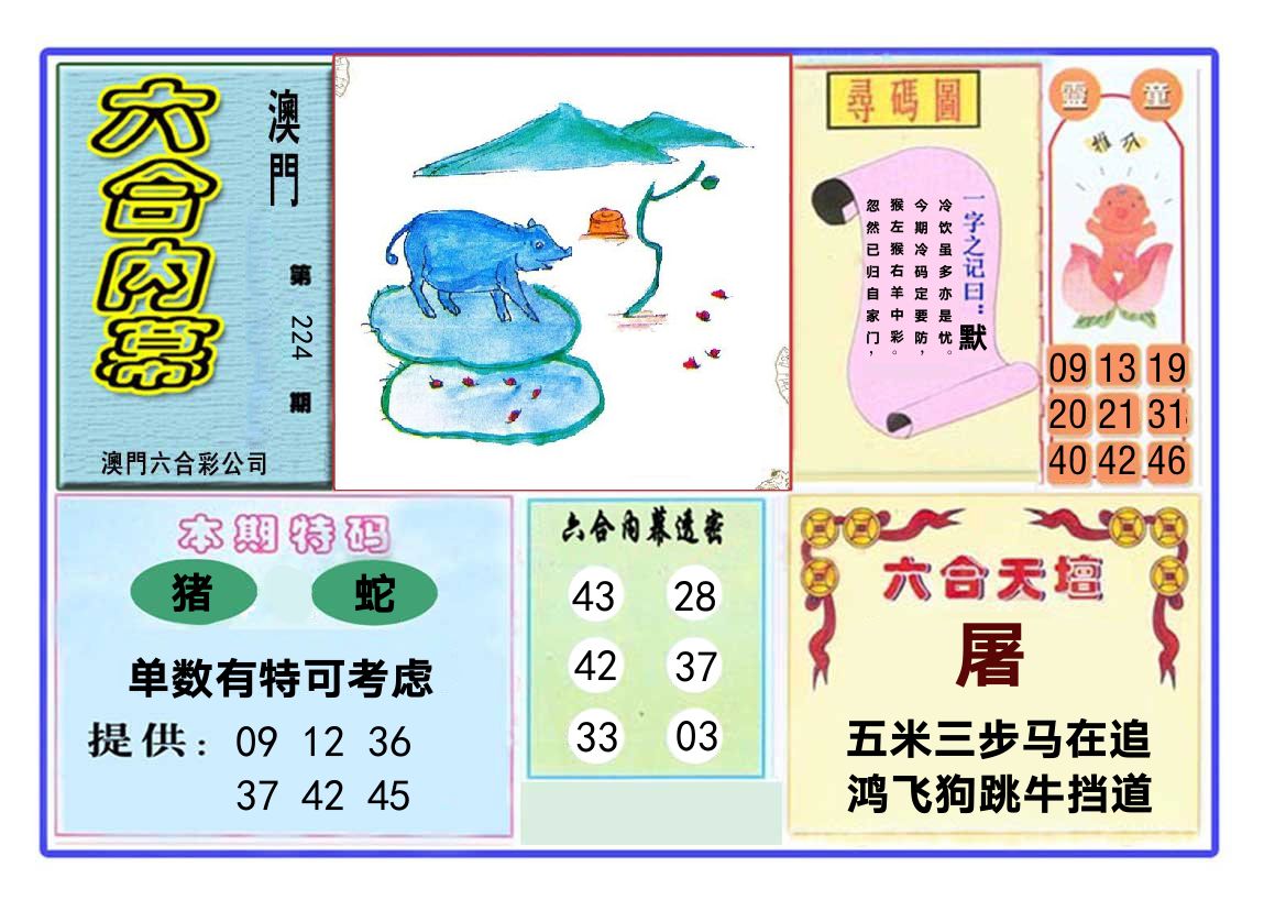 六合内幕 第224期