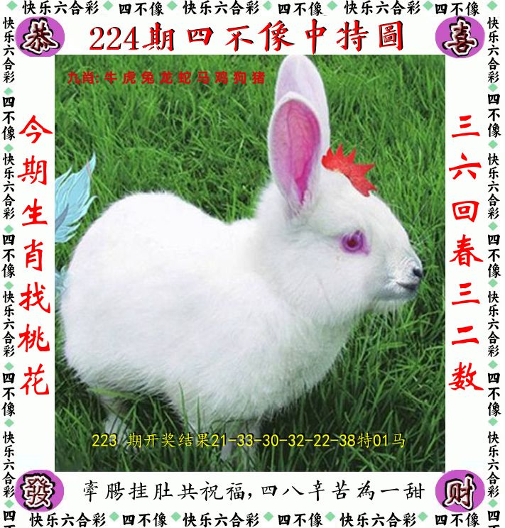 四不像 第224期