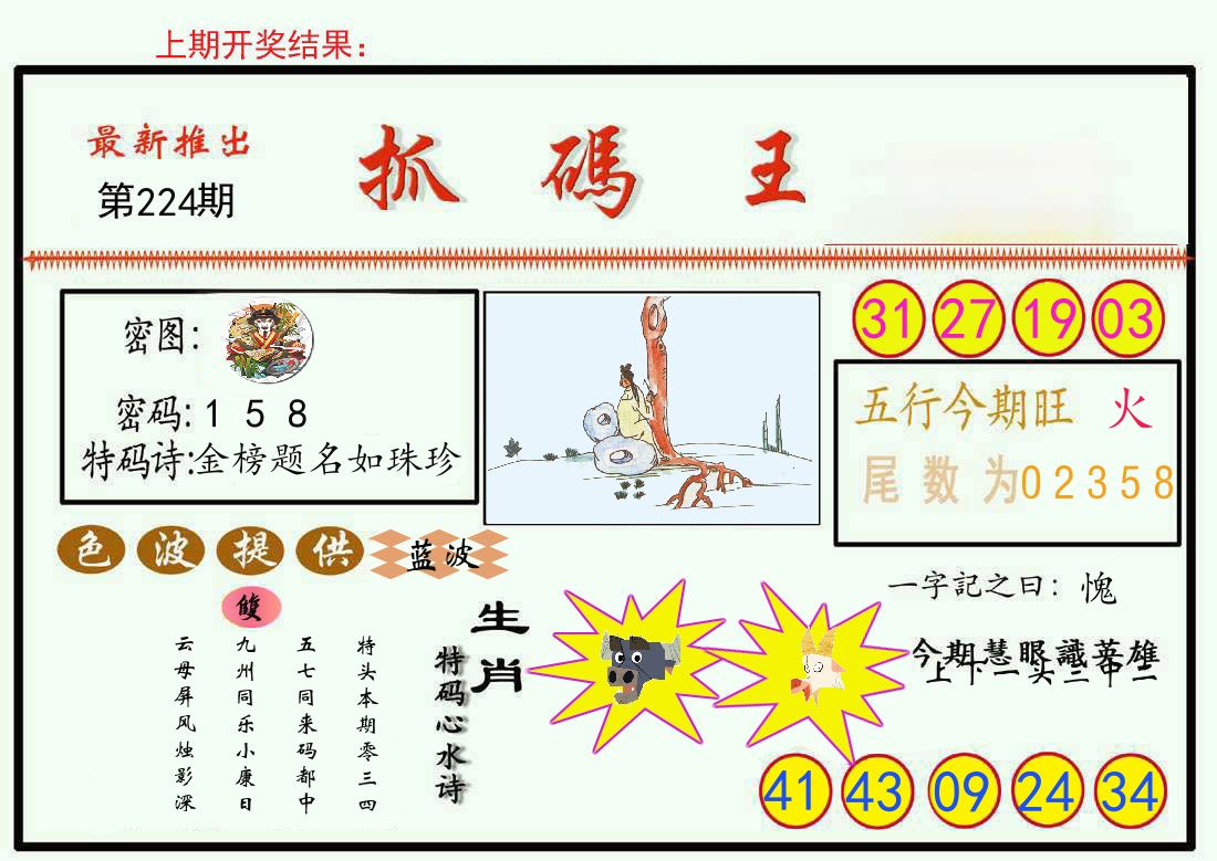 最新抓码王 第224期