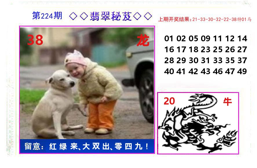 翡翠秘芨 第224期