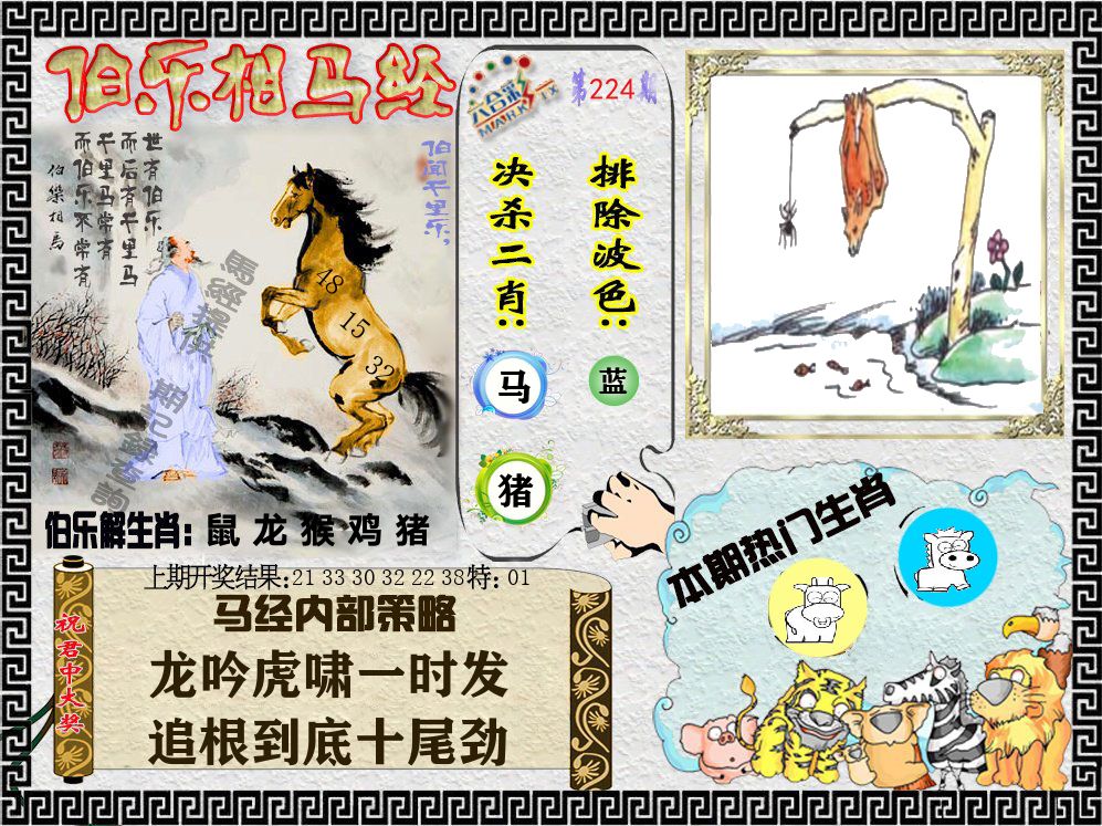 伯乐相马经 第224期