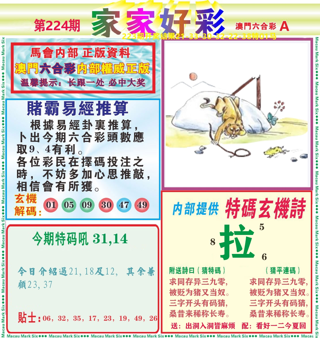 家家好彩A 第224期