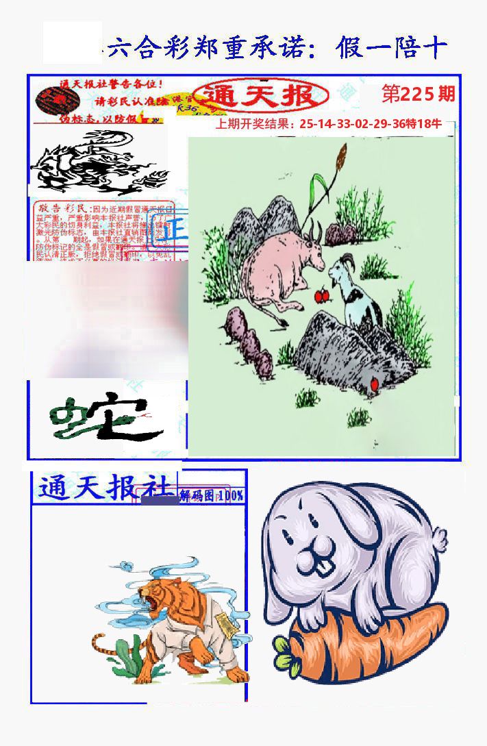 通天报 第225期