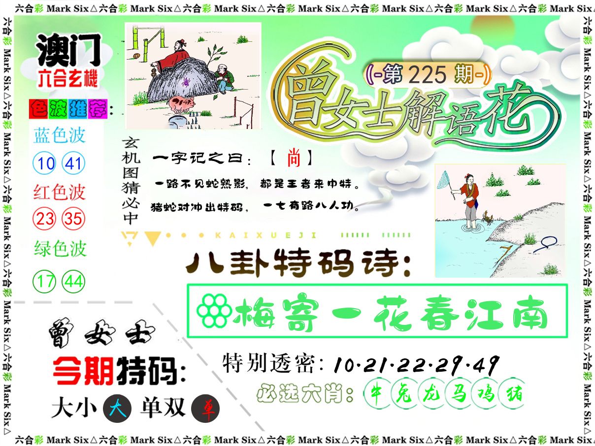 曾女士解语花 第225期