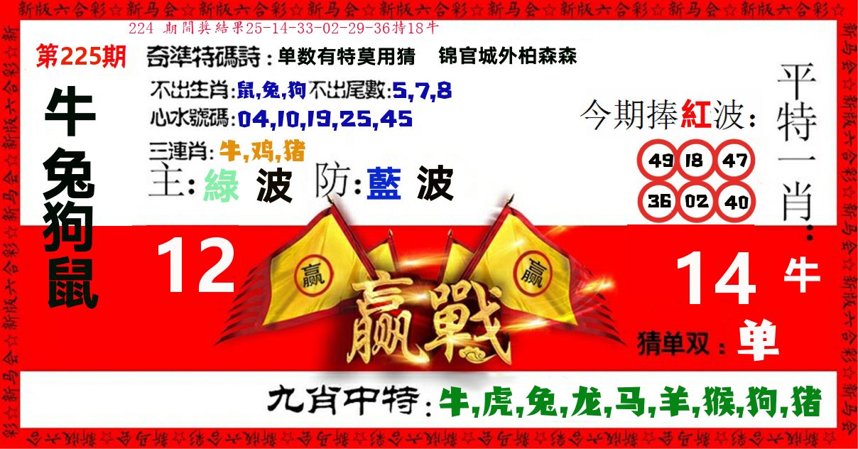 赢站 第225期