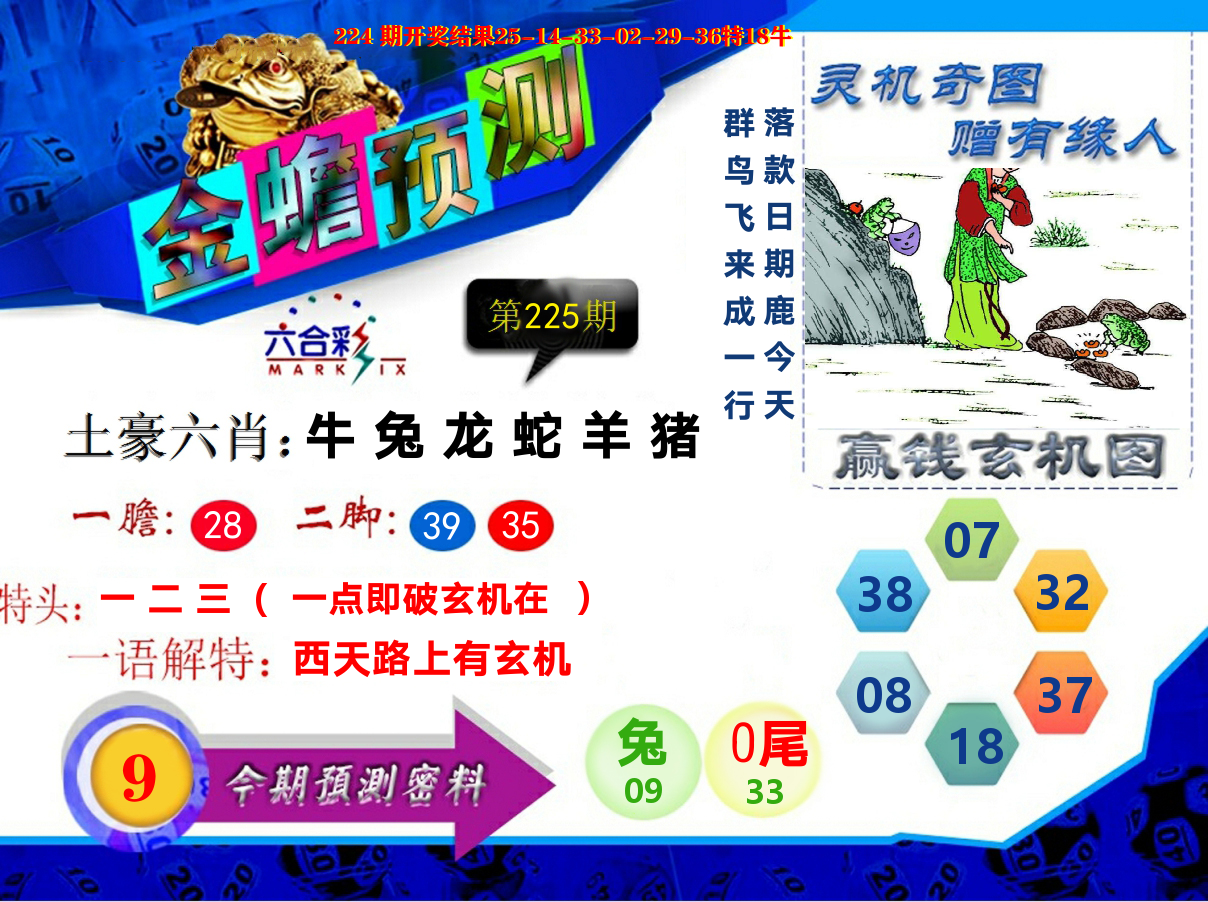 金蟾预测 第225期
