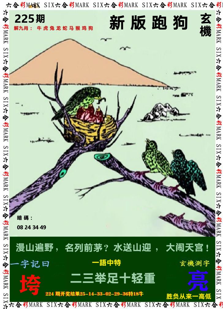 悟入其图 第225期