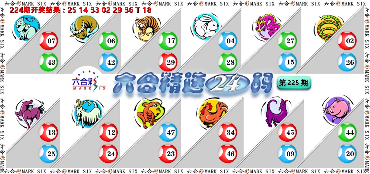 六合精选24码 第225期