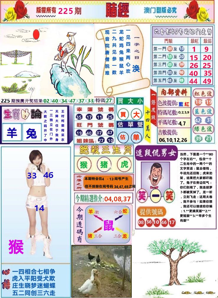 澳门赌经 第225期