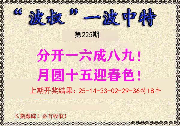 波叔中特 第225期