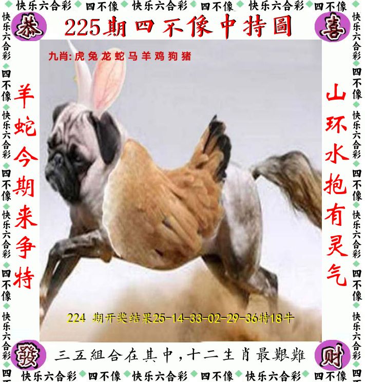 四不像 第225期