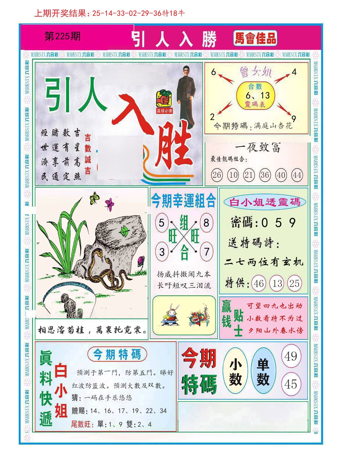 引人入胜 第225期