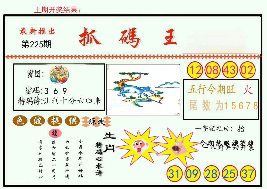 最新抓码王 第225期