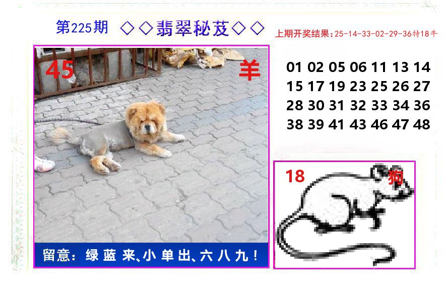 翡翠秘芨 第225期