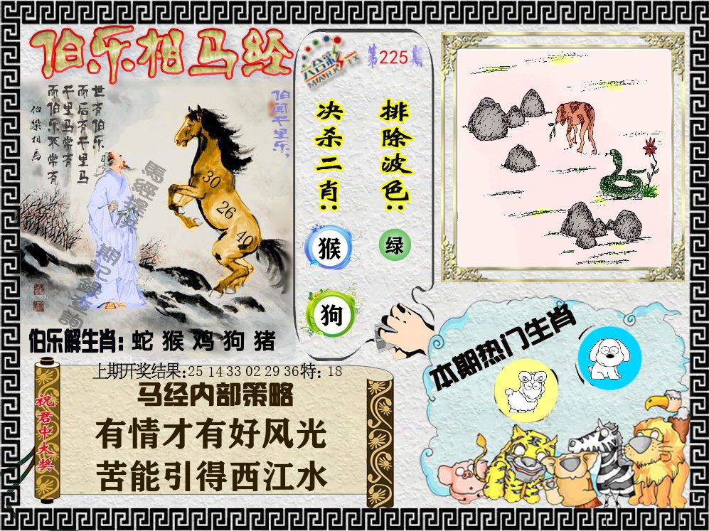 伯乐相马经 第225期
