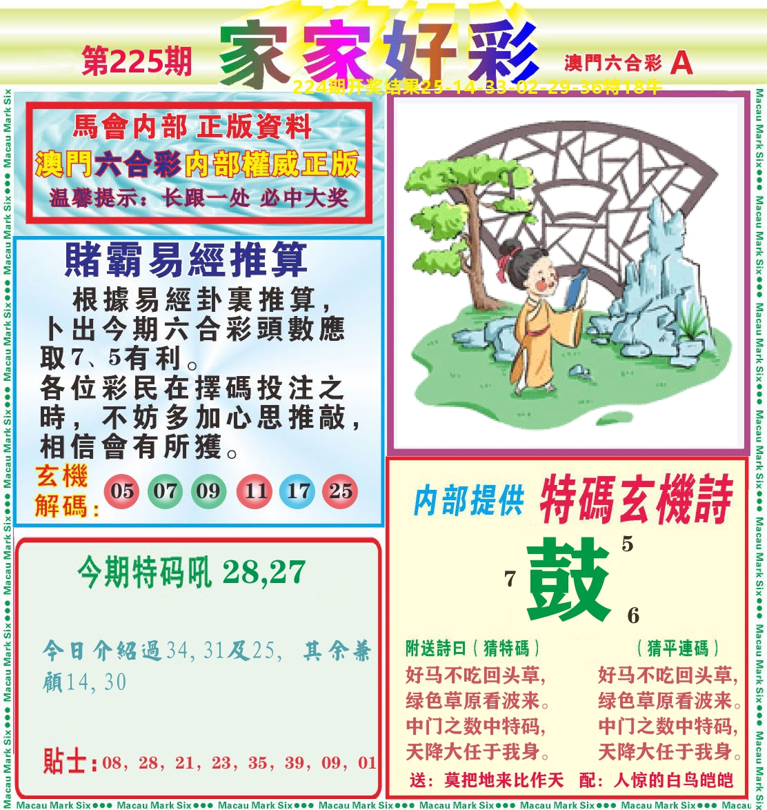 家家好彩A 第225期