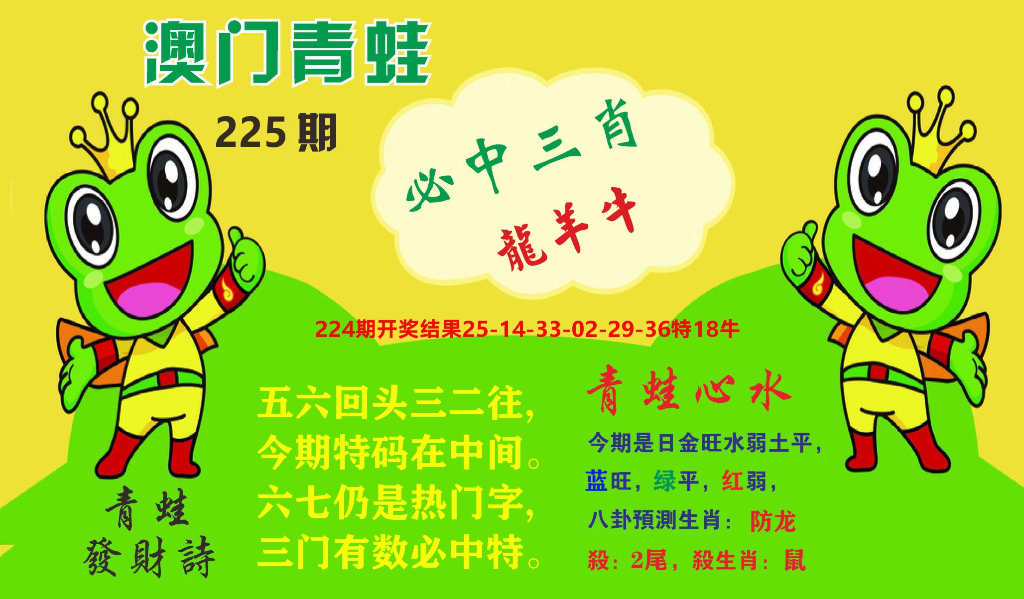 澳门致富经A 第225期