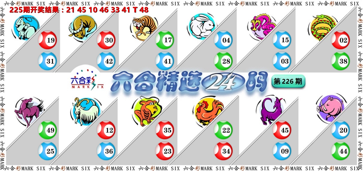 六合精选24码 第226期
