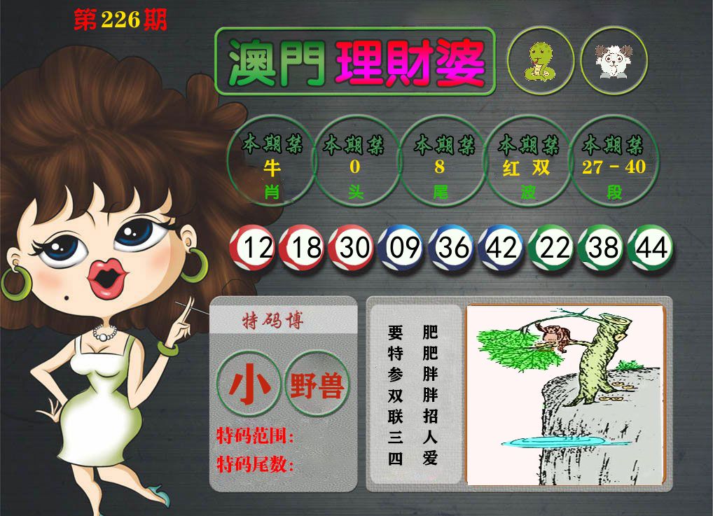 理财婆 第226期