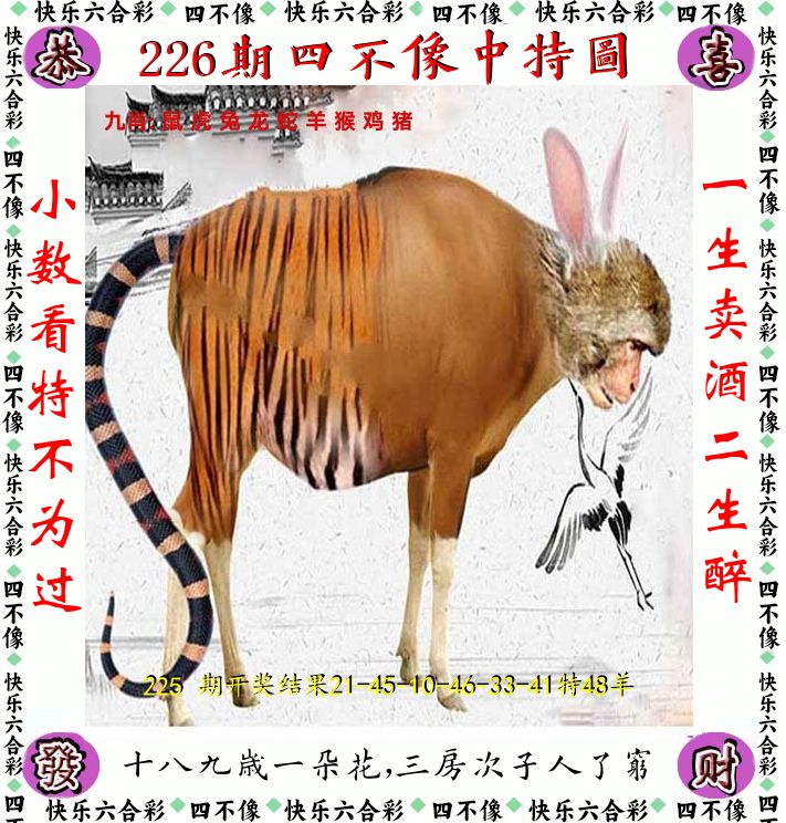 四不像 第226期