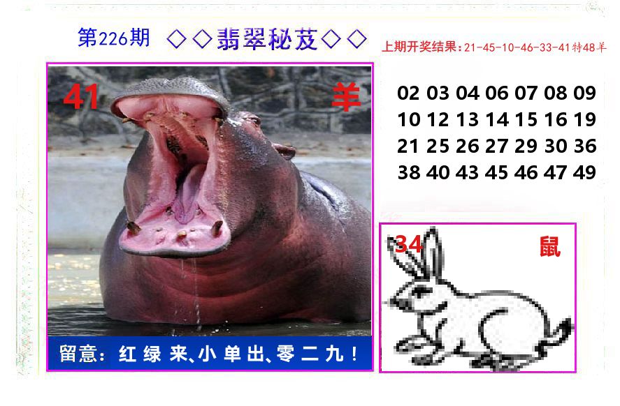 翡翠秘芨 第226期
