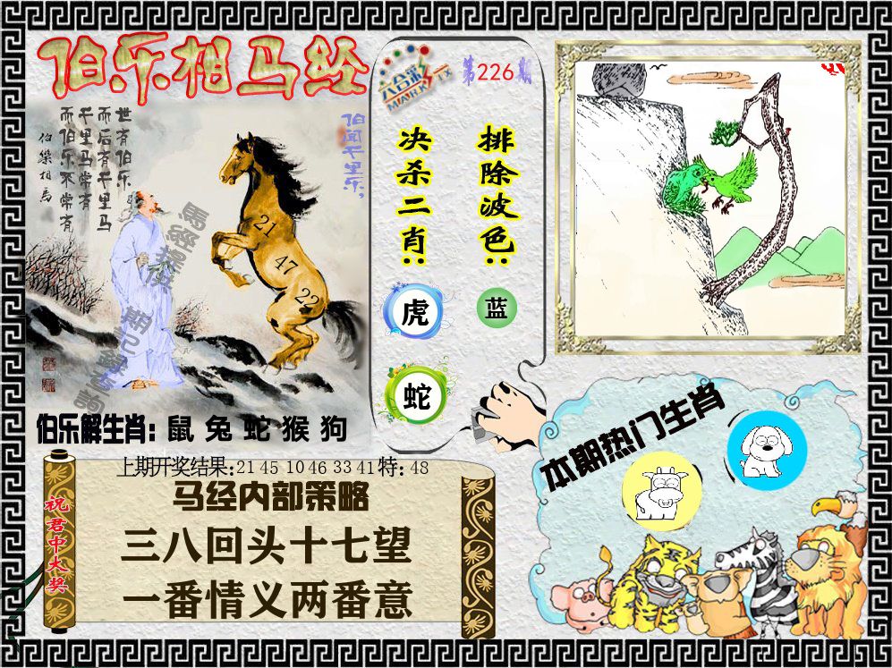 伯乐相马经 第226期