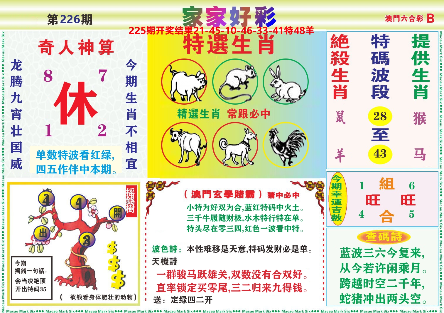 家家好彩B 第226期