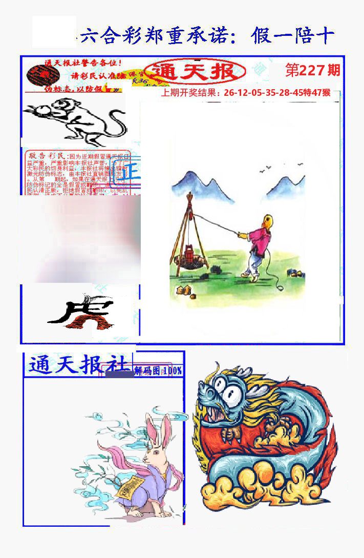 通天报 第227期