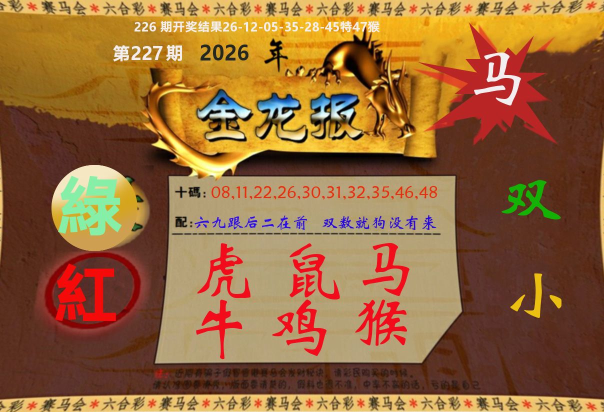 金龙报 第227期