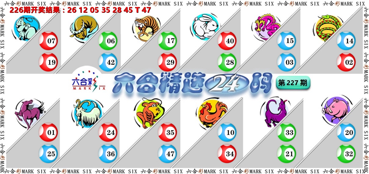 六合精选24码 第227期