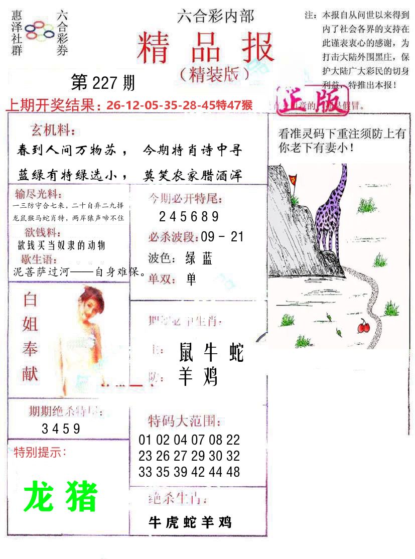 精品报 第227期