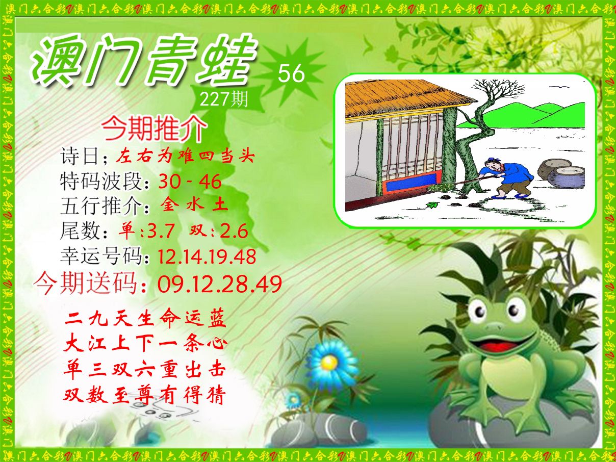 青蛙系列56 第227期