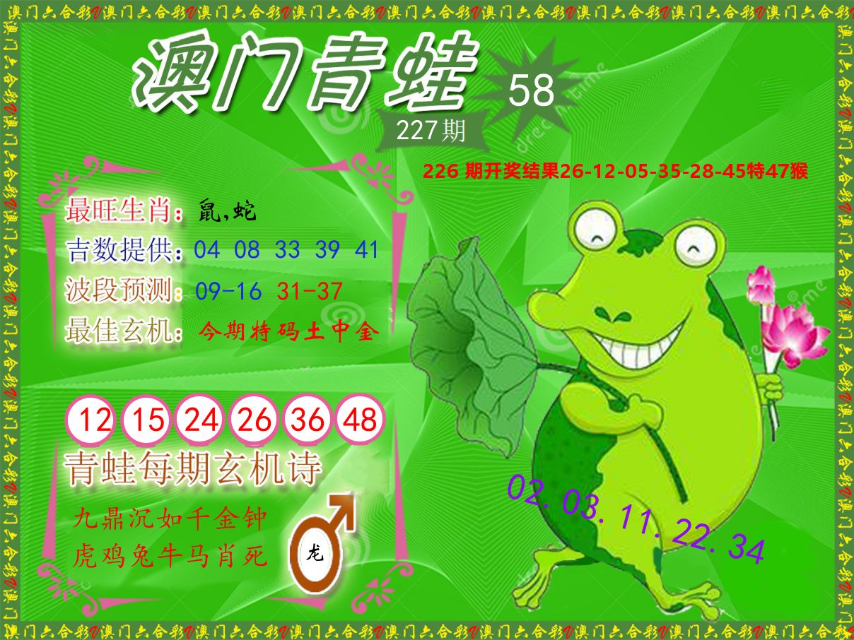 青蛙系列58 第227期
