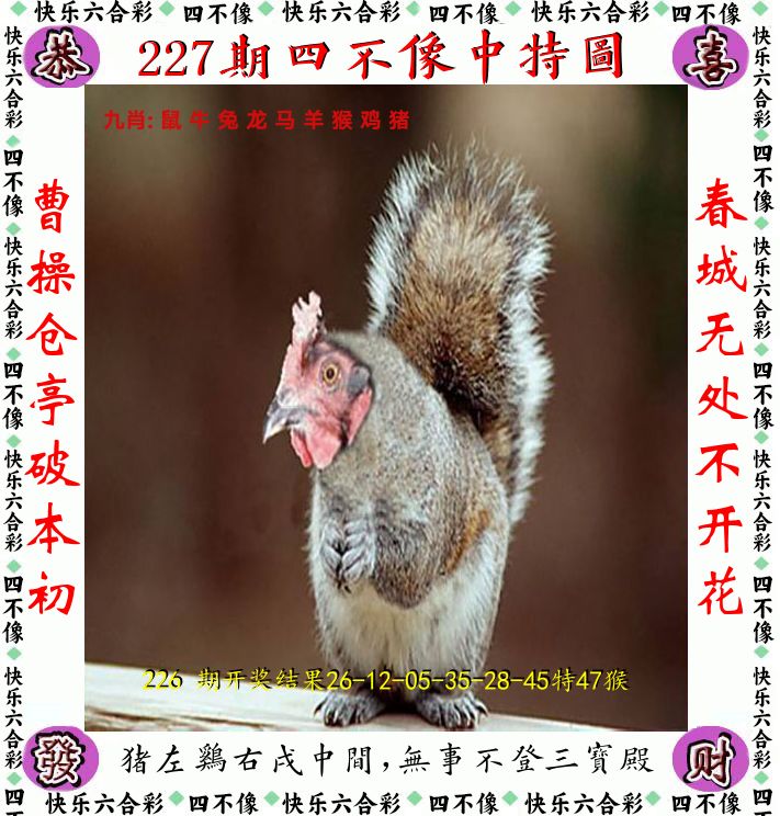 四不像 第227期