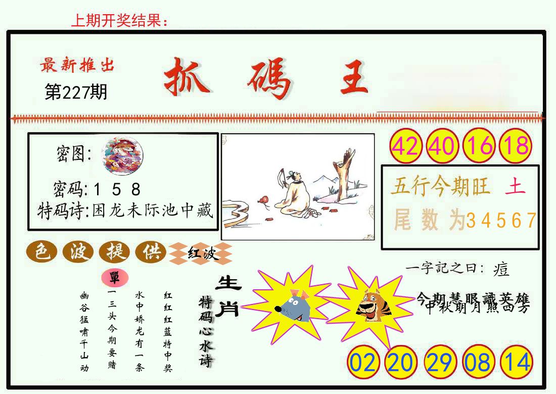 最新抓码王 第227期