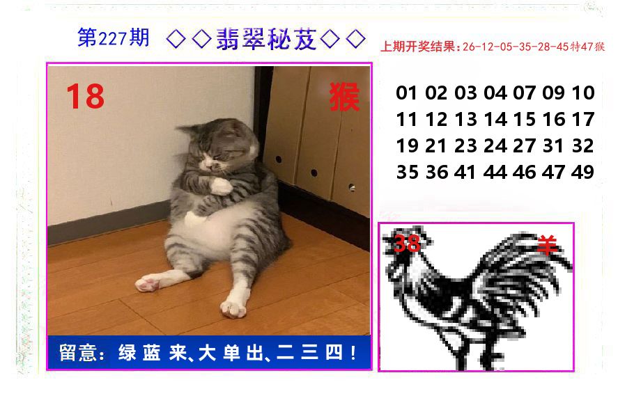 翡翠秘芨 第227期