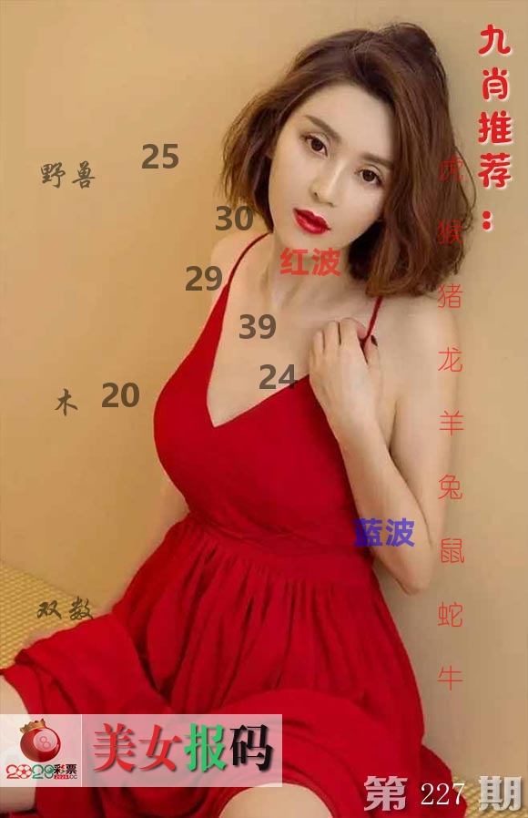 美女报码 第227期