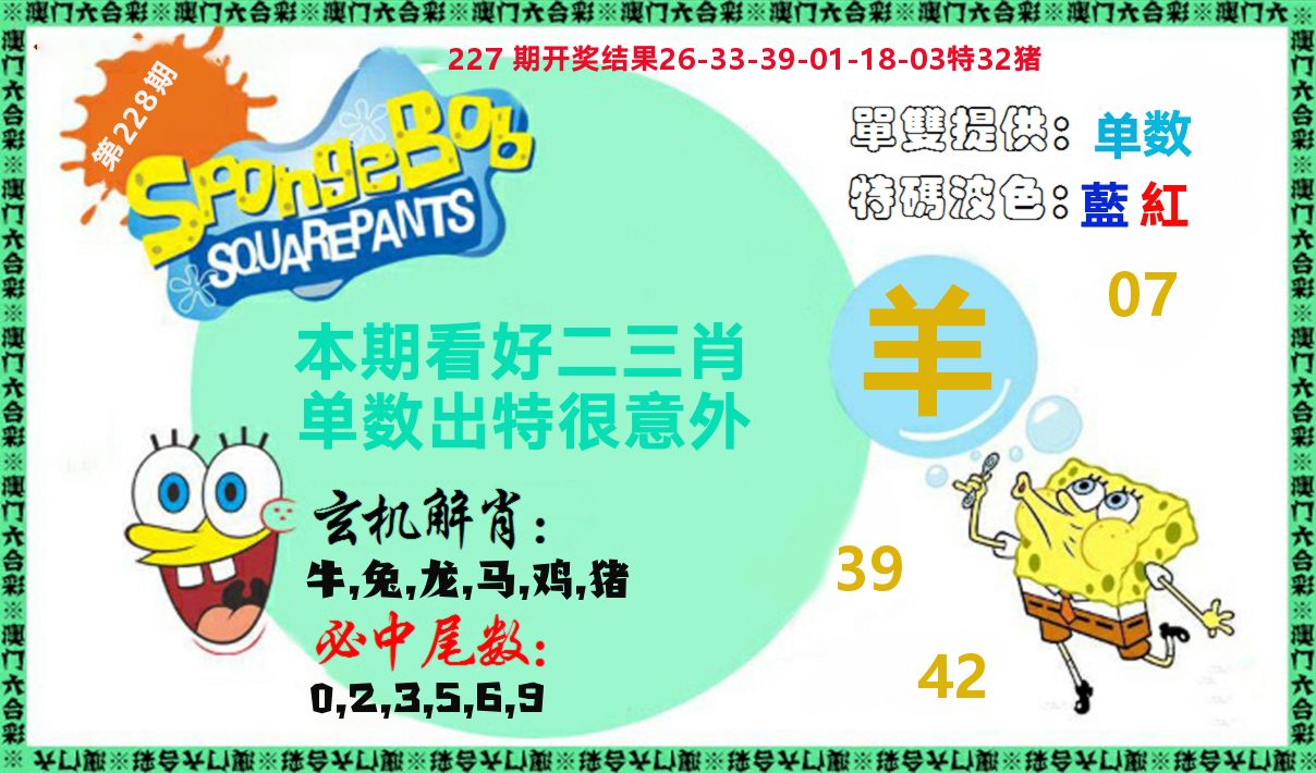 新特码玄机 第228期