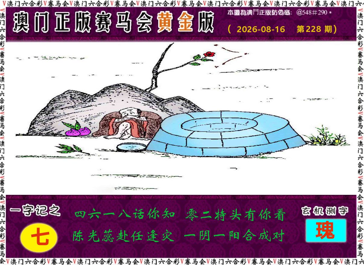 赛马会黄金版 第228期