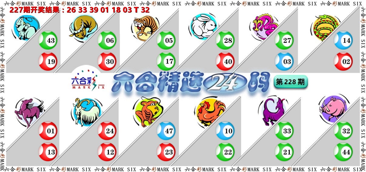 六合精选24码 第228期