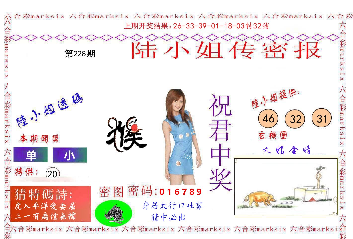陆小姐密报 第228期